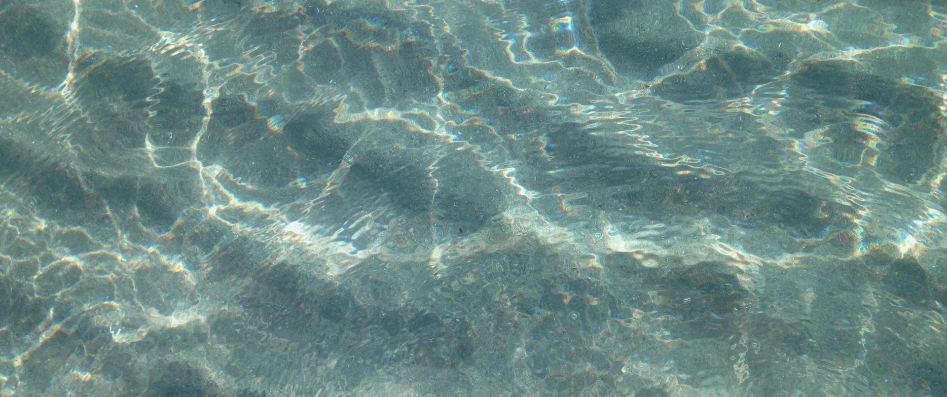 Zdjęcie pełnej szerokości